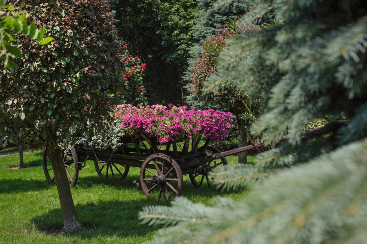 Booking Hotel & Spa Krakow Exterior photo The Botanical Garden of the University of Patras